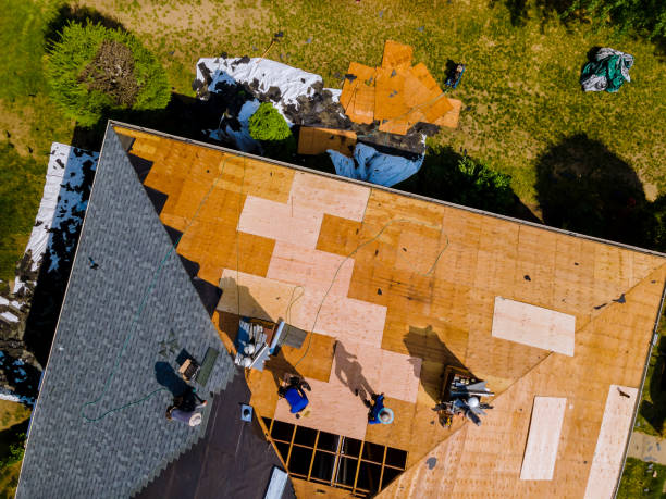 Best Metal Roofing Contractor  in Shasta, CA